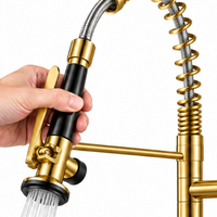 Robinet de Cuisine Extractible en Nickel Brossé – Mitigeur Pivotant Eau Chaude et Froide